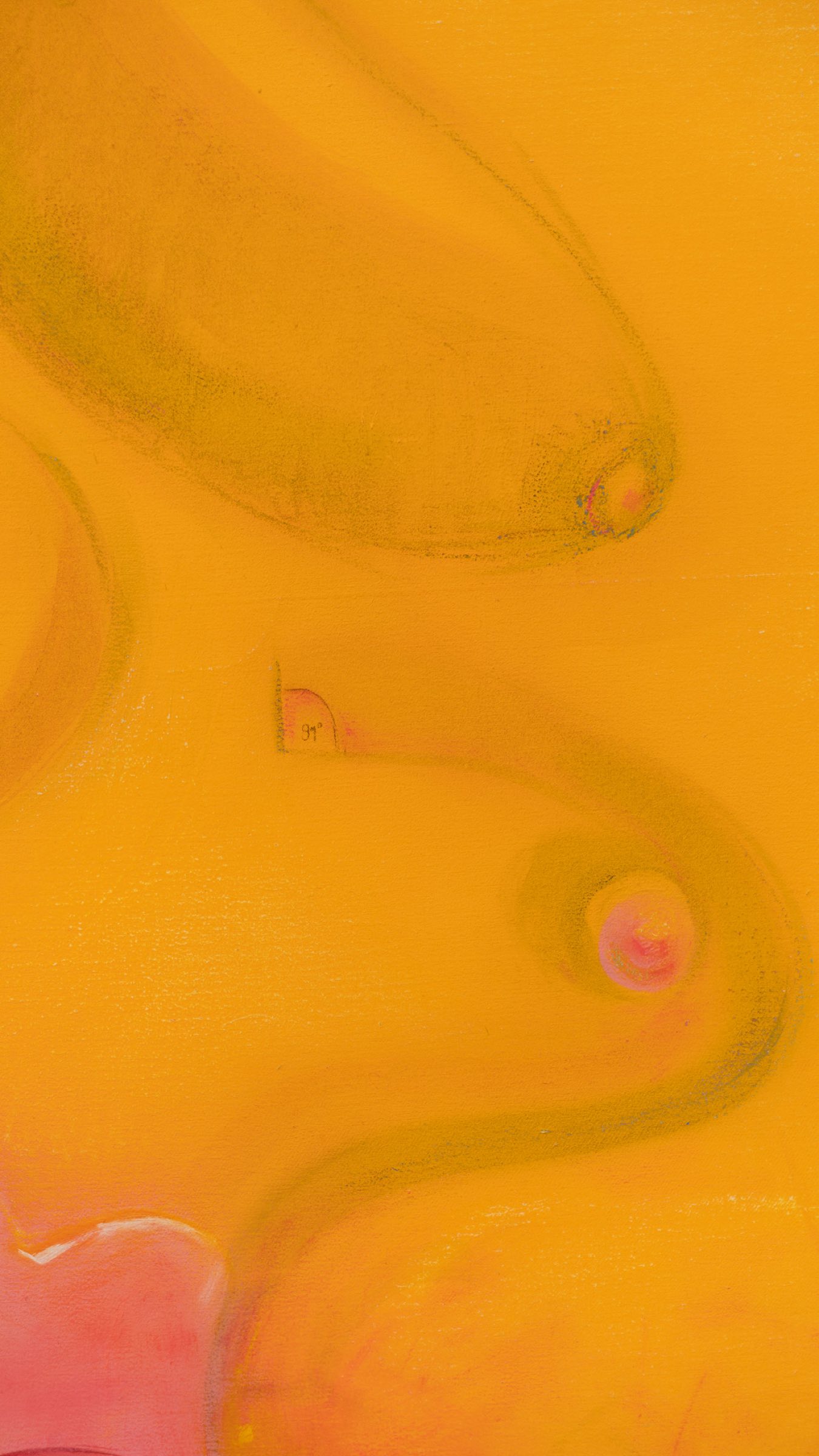 Leonardo’s Visit - Image 7